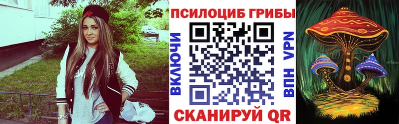 Псилоцибиновые грибы Cubensis  даркнет сайт  Бийск 