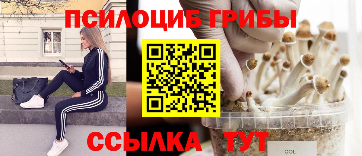 Псилоцибиновые грибы ЛСД  Вход с VPN  Бийск 